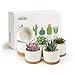 Succulent Pots, ZOUTOG White Mini 3.15 inch Ceramic Flower Planter Pot with Bamboo Tray, Pack of 6 - Plants Not Included