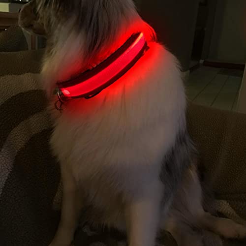 Masbrill Light Up Dog Collars-Led Dog Collar Rechargeable Waterproof Lighted Dog Collar Night Walking Glow Collar For Small Medium Large Dogs #TOP6