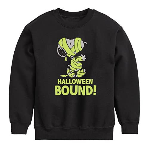 HYBRID APPAREL - Peanuts - Halloween Bound Glow - Toddler And Youth Crewneck Fleece Sweatshirt