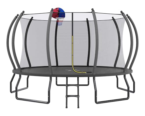 YUMPIE 15 ft Trampoline with Hoop and Ladder