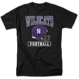 Northwestern University Official Football Helmet Unisex, Football Helmet, L