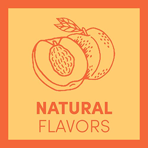 Teavana Craft Peach Iced Natural Green Tea with Lemongrass, Mint, Peach Flavor 12 Fl. Oz. Cans (Pack of 12) - Thumbnail 2