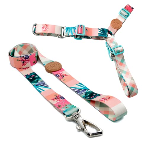 Toh Conjunto Peitoral Antipuxão E Guia Laguna P