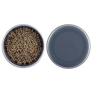 2 5 lb weighted dog bowl  no slip no tip  heavy stainless steel dog bowl with silicone rubber foot   cucciolini doodles