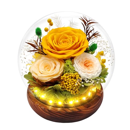 Hombees Preserved Rose Forever Flowers in Glass Dome Gifts for