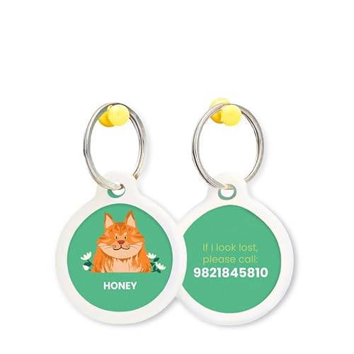 Zoomin Personalized Pet Collar Charms with Pet's Name and A Unique Theme, Pet Collar Name Tags for Your Furry Friend Theme - Maine Coon