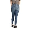 Signature-by-Levi-Strauss-Co-Gold-Label-Womens-Totally-Shaping-High-Rise-Skinny-Jeans Signature by Levi Strauss & Co. Gold Label Women's Totally Shaping High Rise Skinny Jeans (Available in Plus Size), Blue Ice, 14 Long
