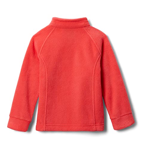 Image of Columbia Kids Benton Springs Fleece (Little Kid /Big Kid)