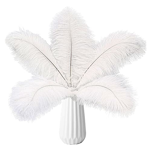12PCS White Ostrich Feathers 8-10inch Natural Ostrich Plume Set for Home Office Room Wall Table Vase Holiday Reception Décor Wedding Masquerade Mask Party Birthday Ornament Crafts DIY Decoration Use