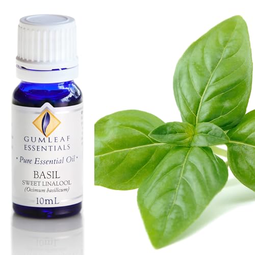 Aceite Esencial Puro de Albahaca Gumleaf Essentials 10 ml