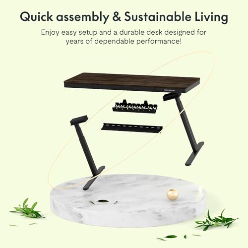Image of FLEXISPOT 55 inch Bamboo Standing Desk, Dual Motor 3 Stages Adjustable Height Electric Computer Workstation Wireless Charging, Drawer, Quick Install, 220lbs Capacity (Dark Bamboo Tabletop + Black Frame)