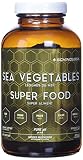 Quantum Nutrition Sea Vegetables, 240 CT