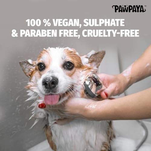 Image of Pawpaya Shampoo Pawpaya Shampoo for Dogs | Gentle Deep Cleansing Formula for Healthy Skin & Soft, Shiny Coat | Suitable for All Dog Breeds & Coat TypesDogs