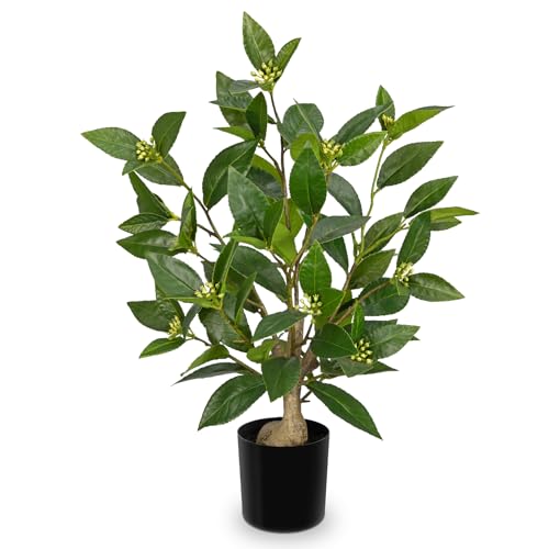 Arborus Plantes artificielles d'intérieur de 48 cm de haut - Laurier vert dans des pots noirs - Petites plantes artificielles décoratives en pot - Plantes...