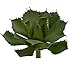Nearly Natural 15? Succulent Pick Artificial (Set of 2) Silk Plants Green