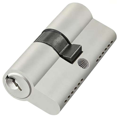 Cylindre de serrure 30/30 avec 3 clés - Cylindre de porte de 60 mm - Cylindre profilé - Kit de verrouillage simultané