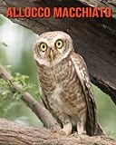  Allocco macchiato: Foto stupende e fatti divertenti Libro sui Allocco macchiato per bambini