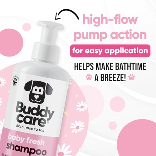 Babyfrisch Hundeshampoo von Buddycare - Shampoo für müffelige Hunde ab 8 Wochen - Baby-Puder-duftendes Welpen-Shampoo mit Aloe Vera und Provitamin B5 (500ml)
