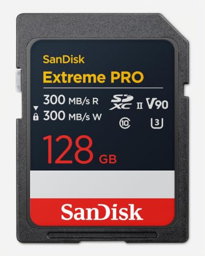 SanDisk Extreme PRO V90 128GB