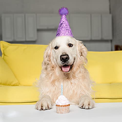 Pet Show 5Pcs/Pack Small Dog Hat Set Pet Birthday Hats For Boys Girls Holiday Party Apparel Accessories With 0-9 Numbers And Adjustable Buckle For Medium Large Puppies Cats Doggies #TOP5