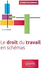 Download Le Droit du Travail en Schémas PDF