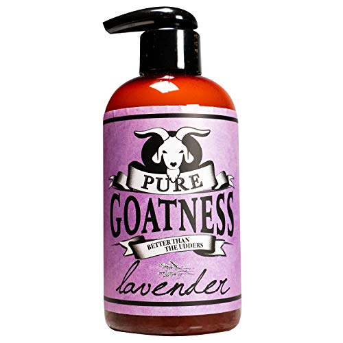 Pure Goatness Premium Goat Milk Lotion Natural Skincare Body Hand and Face rejuvenating and cleansing moisturizer (Lavender, 8 oz)