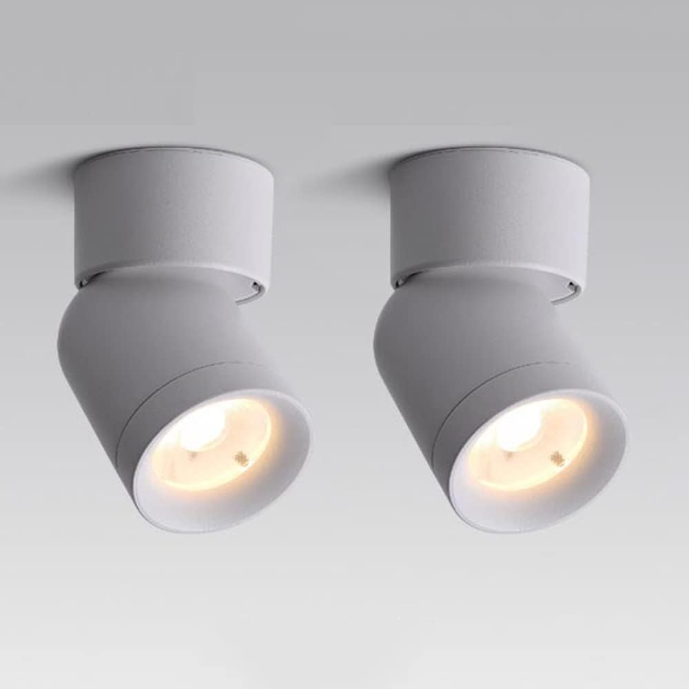 Led Ceiling Spotlight Surface Monopoint Light Fixture, Adjustable Ceiling Mount Accent Spot Lighting Indoor, Directional Spotlight for Gallery Corridor Events Exhibitions/Blanc6000K/5W