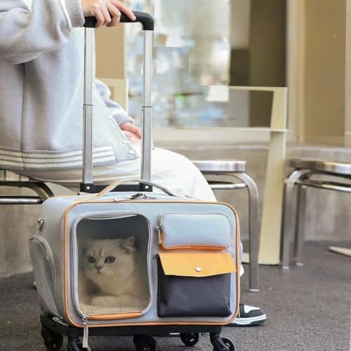 Bolsa Mochila Transporte Pet Luxo Rodinhas Avião Cães Gatos