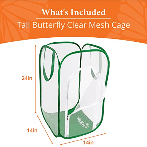 image for Tall Baby Clear Mesh Butterfly Cage with Drawbridge Open Door | 14”L