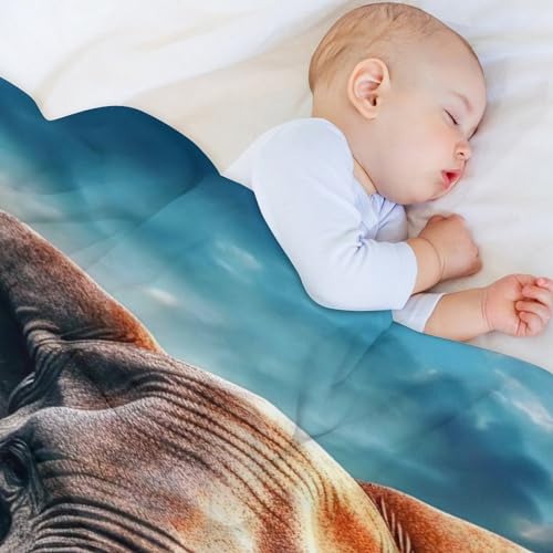 Couverture en flannel haut de gamme motif éléphant impression 3D