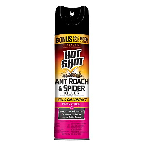 Hot Shot Ant, Roach And Spider Killer 21.875 Ounces, Aerosol Spray, Fresh Floral Scent, Pack of 12