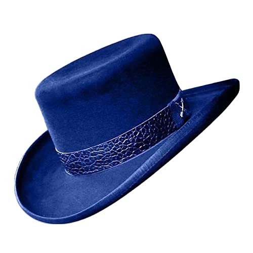 Felt Cow Hat Fashion Symmetric Top Women Men Unisex Steam Punk (1_Blue,One Size)