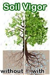 Miniatura 9 de Posatium Poliacrilato Suelo Enmienda Suelo Humedad Polímeros 1 Libra Bolsa