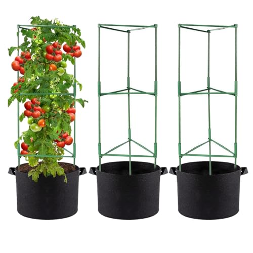 Tomato Plant Support For Garden | 120cm Garden Climbing Plants Support With Grow Bags | Adjustable Tomato Stakes | For Home Indo