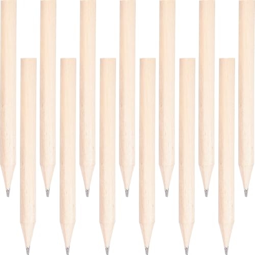 Abaodam 50 ZĎ₷ؐ~jM ێM LbYݗp c̗K vŊ炩ȏSn