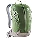 Price comparison product image Deuter AC Lite 17 Hiking Backpack, Pine-pepper