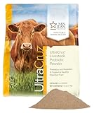 UltraCruz