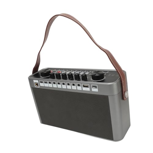 Máquina de karaokê com 2 microfones sem fio, placa de som, alto-falante para canto interno e externo