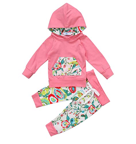 0-3 Anos de Roupa Conjunto de Bebê Meninas Primavera Definir Manga Longa Rosa Capuz Top com Calças 2