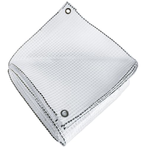 TECPLAST Bâche Transparente Armée 4x6 m - TR170MU - Bâche de Protection - Haute Qualité – Imperméable - Résistance Anti-UV