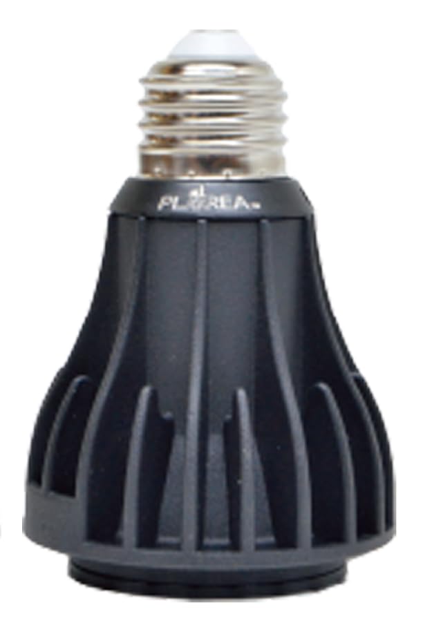 Amazon.co.jp: ゼンスイ EverSun365 mini 12W エバーサン サンロクゴー