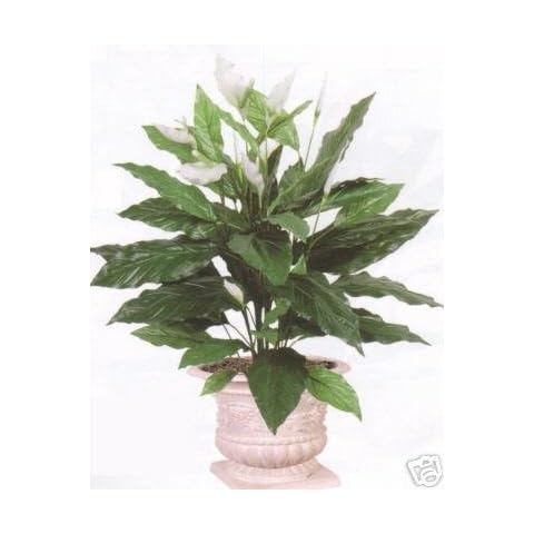 35 Inch Tall Artificial Spathiphyllum Palm Tree Plant not Potted Cover