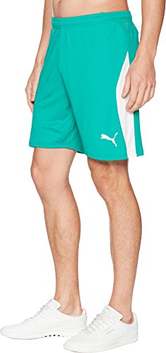 Image of Puma Men Shorts
