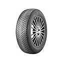 Nexen 205/55 R16 94V XL Ganzjahresreifen Allwetter M+S 3PMSF Reifen