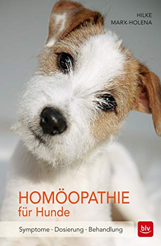Homöopathie für Hunde: Symptome | Dosierung | Behandlung (BLV Hund)