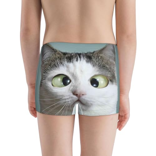 Boys' Cotton Boxer Brief Soft Underwear-Funny Cat3