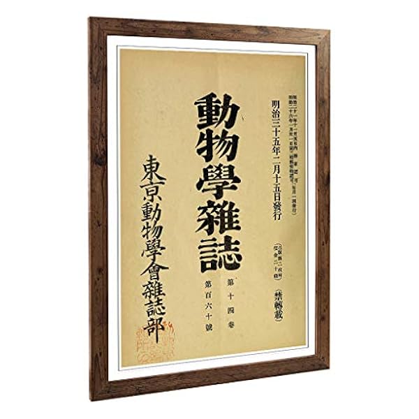 Grande Scatola Arte incorniciata Stampa di Script Giapponese Orientale (6) | Design Wall Art Foto, Decorazione per Cucina, Soggiorno, Camera da Letto, corridoio, Noce, A2/62,2 x 45,7 cm/62 x 45 cm