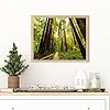 WUIVCTR Paint by Numbers DIY Giant Redwoods in Muir Woods National Monument Near San Francisco Canvas Painting Set with Acrylic Pigment Paintbrush for Adults Artwork 16" x 20" #1