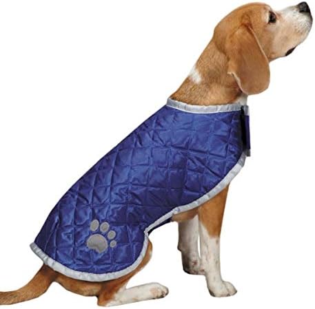 canines coat