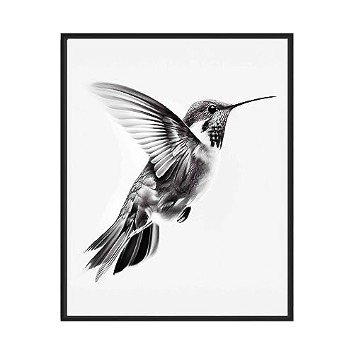 Hummingbird 8x10 art print - black and white